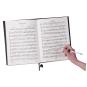 morepic-5