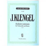 Klengel, J.: Andante sostenuto op. 51 für Vc + Orchester 