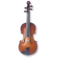 Magnet Violin 