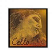 EVAH PIRAZZI GOLD cello string D by Pirastro 