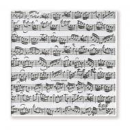 Napkins Concerto 