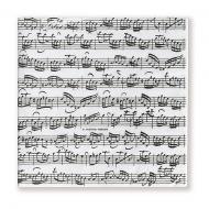 Napkins Concerto 