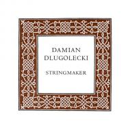 Damian DLUGOLECKI viola string D 
