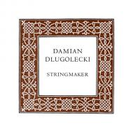 Damian DLUGOLECKI viola string G 