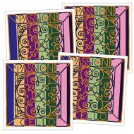 PASSIONE cello string SET by Pirastro 