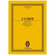 Bach, J. S.: Kantate BWV 158 »Kantate zum 3. Ostertag« 