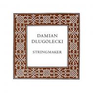Damian DLUGOLECKI violin string E 