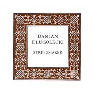 Damian DLUGOLECKI violin string E 