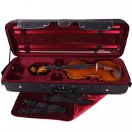 PACATO Livorno violin case 