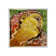 EVAH PIRAZZI NEO violin string D by Pirastro 