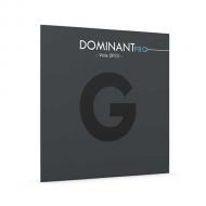 DOMINANT PRO viola string G by Thomastik-Infeld 