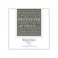 PROTOTYPE cello string A by Warchal 