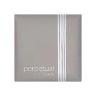 PERPETUAL SOLOIST cello string C by Pirastro 