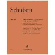 Schubert, F.: Variationen über „Trockne Blumen“ e-moll op. post. 160 D 802 
