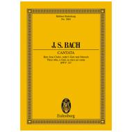 Bach, J. S.: Kantate BWV 127 »Dominica Estomihi« 