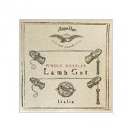 AQUILA bass viol string a 