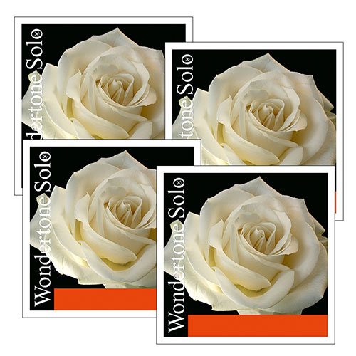 WONDERTONE SOLO violin string SET by Pirastro - Violin Strings
