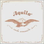 Aquila